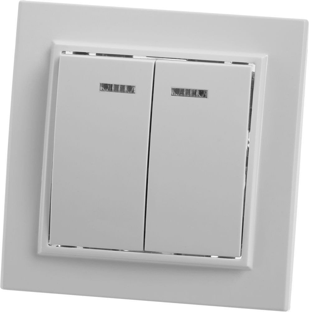 Эрна - Розетки и выключатели Stekker Выключатель 2-клавишный с индикатором STEKKER PSW10-9002-01 10А Эрна белый с рамкой 39042