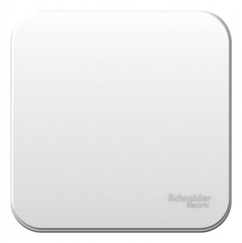 Blanca белые розетки и выключатели Переключатель SE Blanca 1-клавишный Белый наружный изолир. пластина BLNVA106011