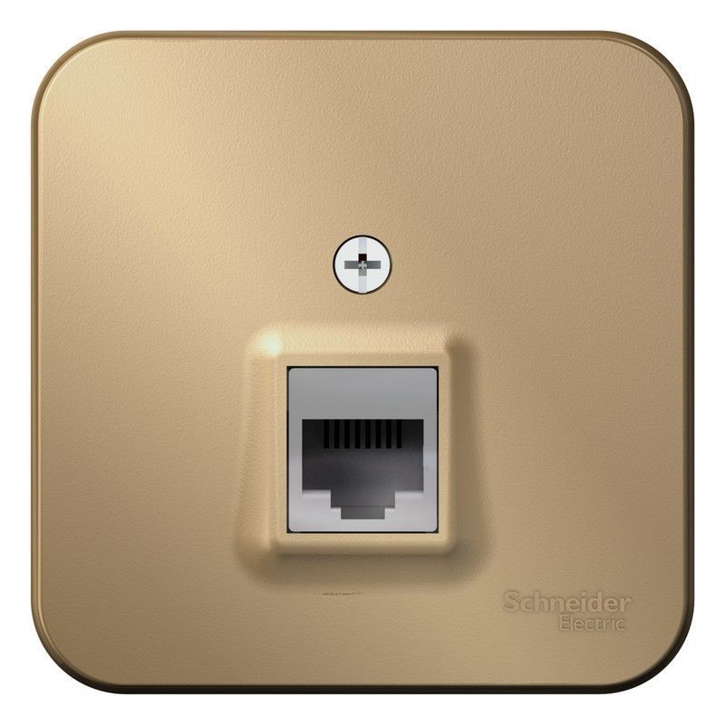 Blanca титан розетки и выключатели Розетка SE Blanca компьютерная Титан наружный RJ45 кат.5E изолир. пластина BLNIA045004