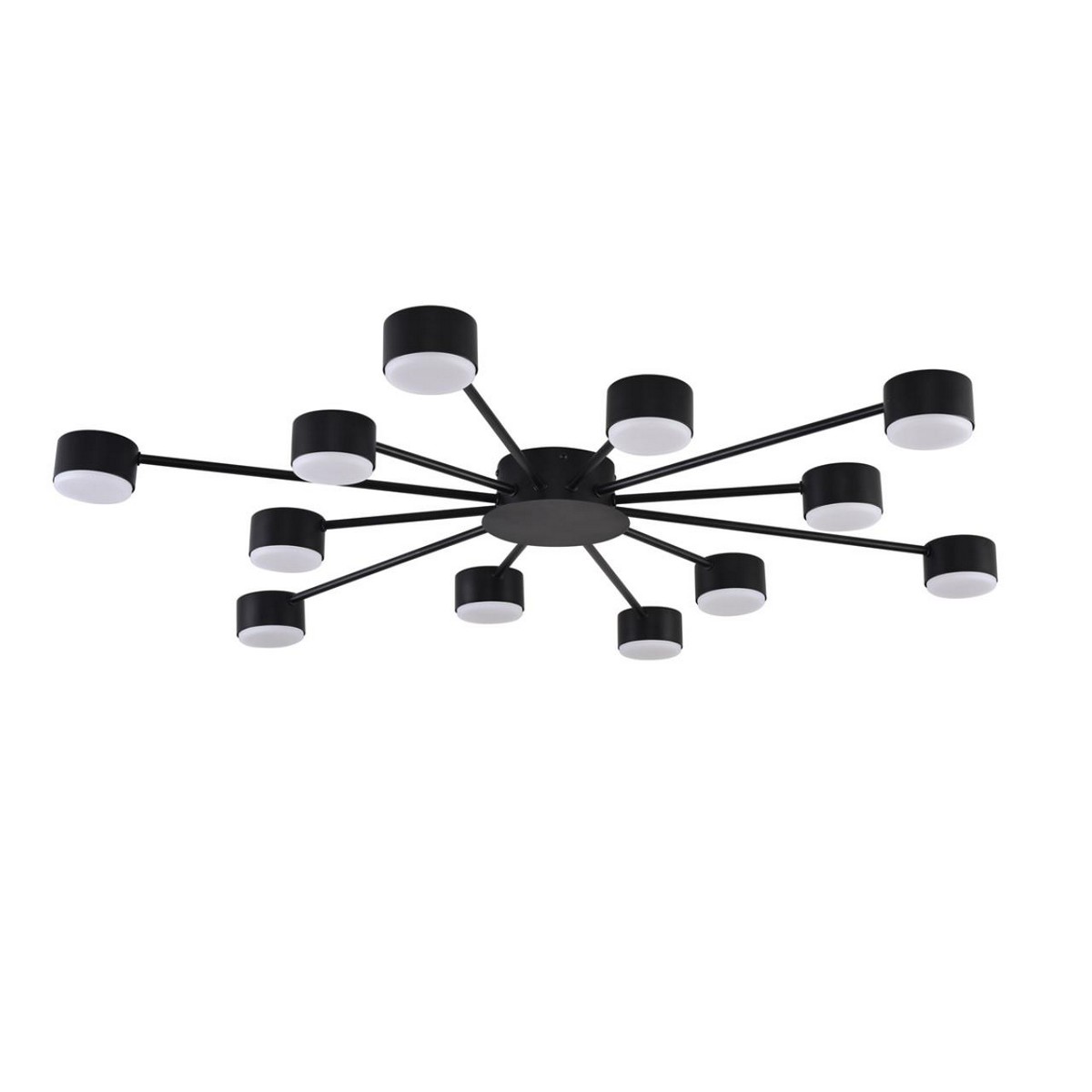 Люстры Люстра LUMION 8344/12С TORINA