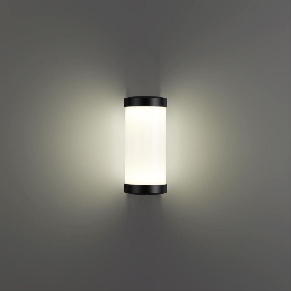 Светодиодные ландшафтные светильники Светильник ландшафтный настенный светодиодный NOVOTECH 359300 OPAL 