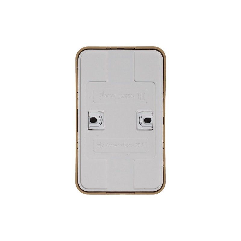 Blanca ясень розетки и выключатели Розетка SE Blanca 2-ая Ясень наружный с/з со шторками изолир. пластина BLNRA011215