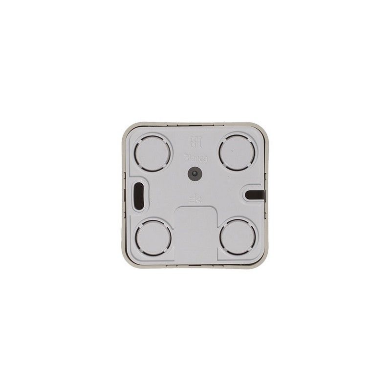 Blanca бежевые розетки и выключатели Розетка SE Blanca телефонная Бежевый наружный RJ11 изолир. пластина BLNIA011007