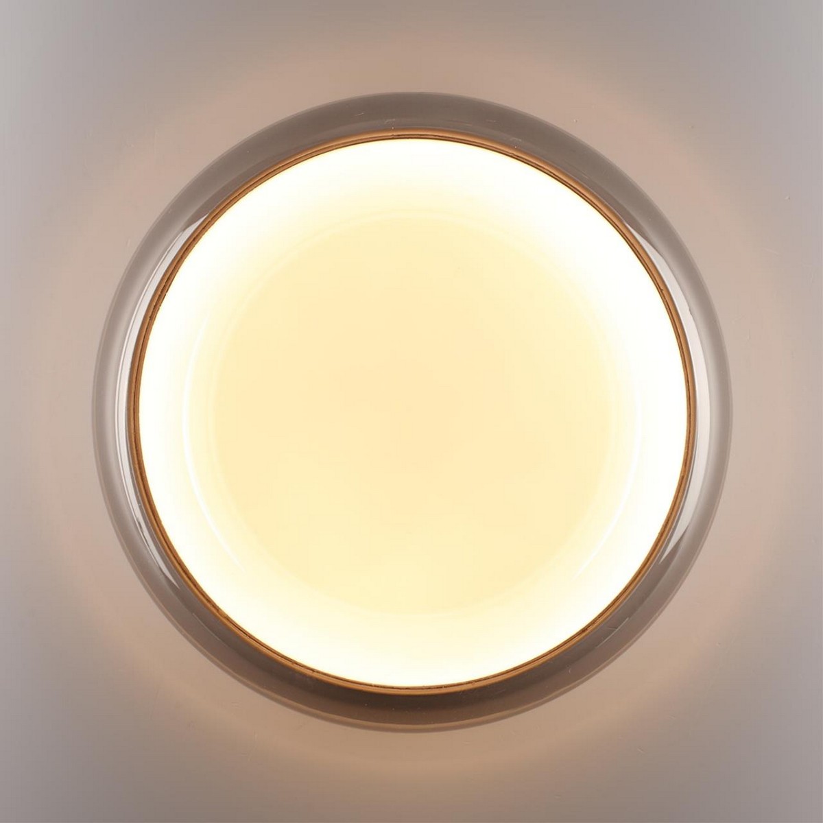 Накладные светодиодные светильники Настенно-потолочный светильник СОНЕКС 7777/DLN PORTMAN 