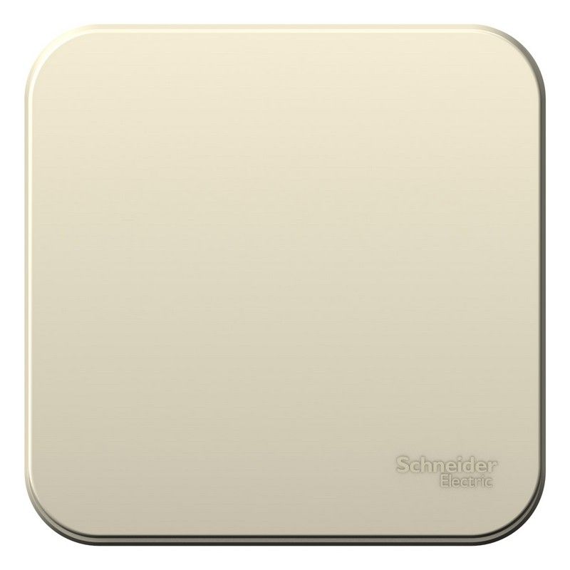 Blanca молочные розетки и выключатели Переключатель SE Blanca 1-клавишный Молочный наружный изолир. пластина BLNVA106012