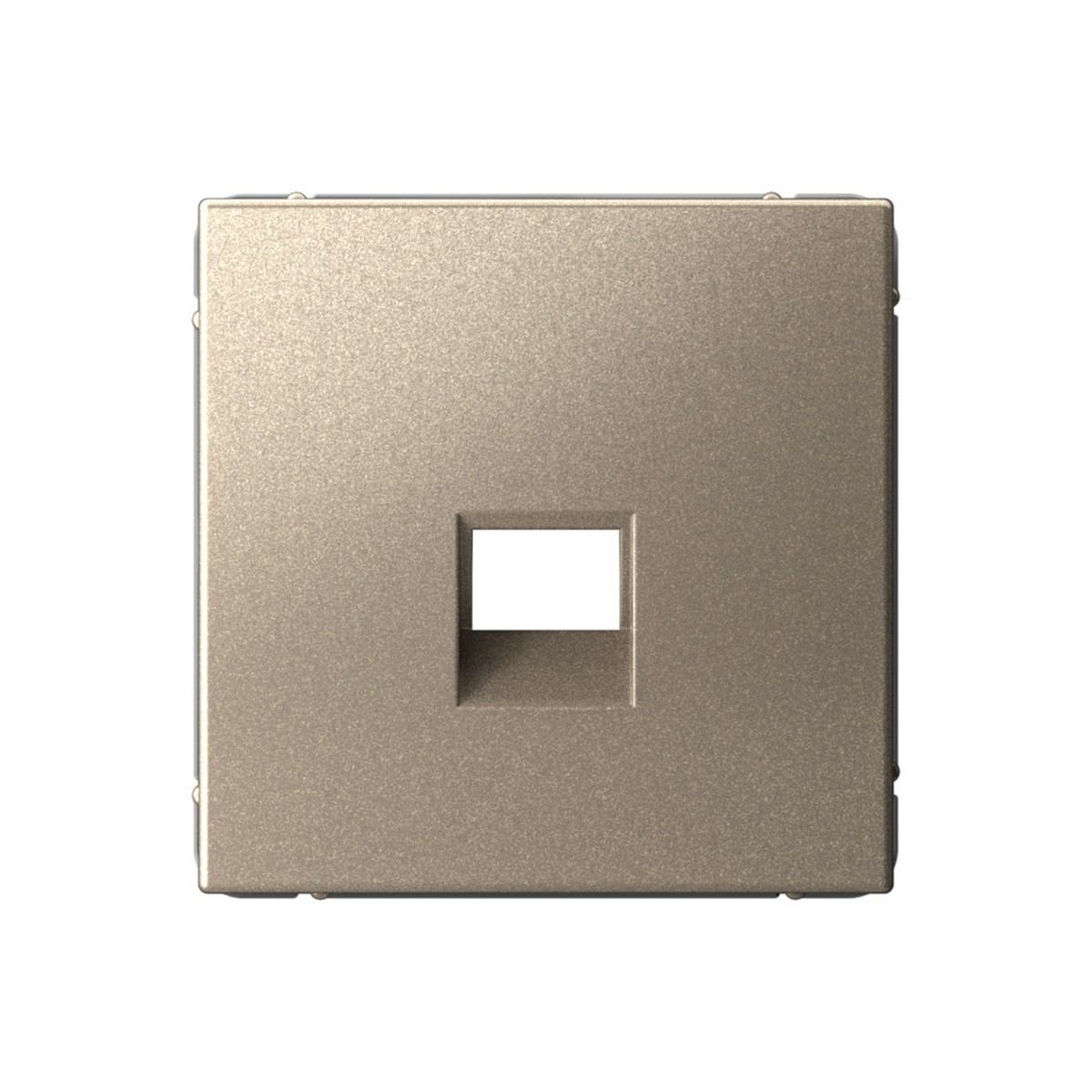 ArtGallery Шампань Накладка Systeme Electric ArtGallery Шампань для информационных функций типа Keystone GAL000584