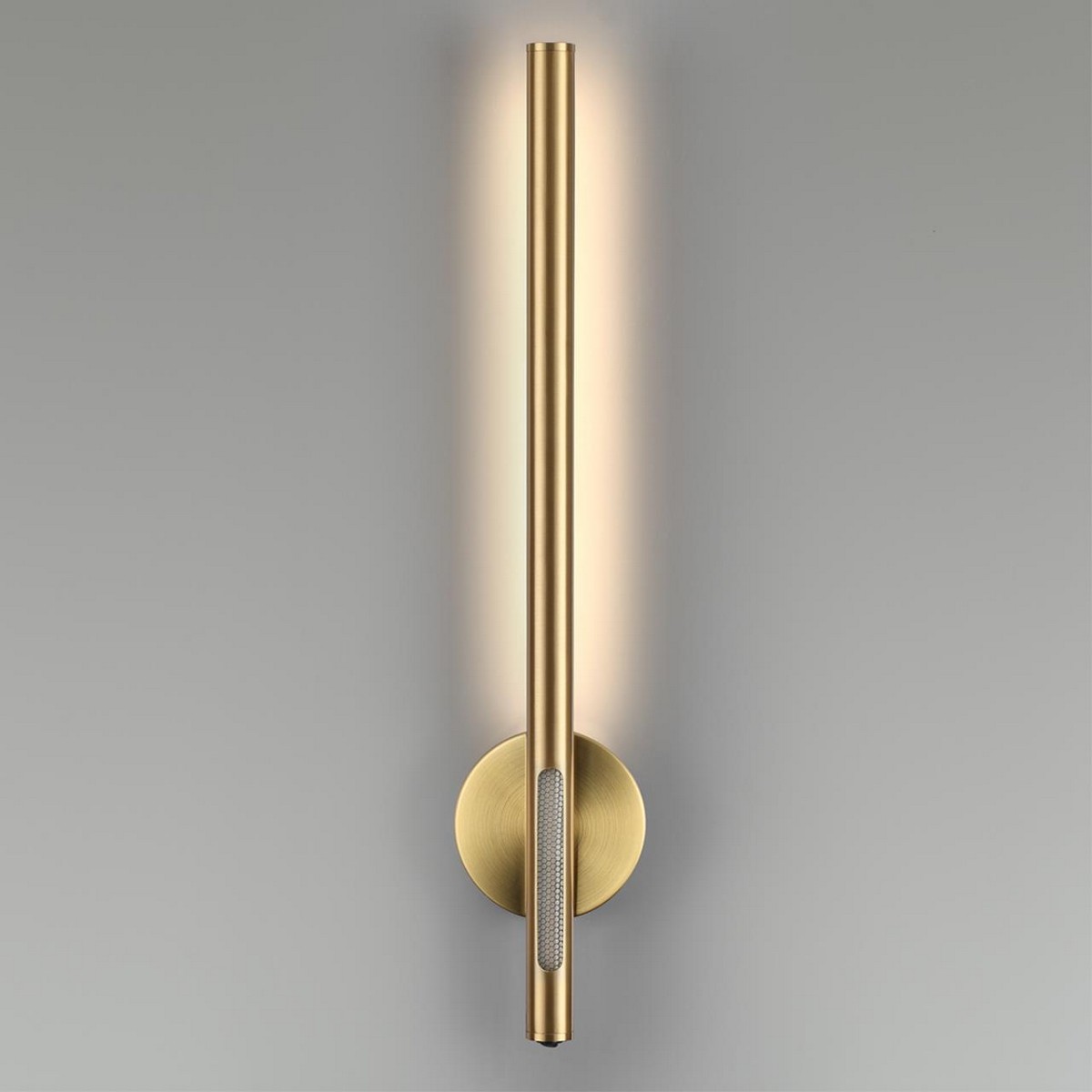 Накладные светодиодные светильники Настенный светильник ODEON LIGHT 6644/10WL MALI 