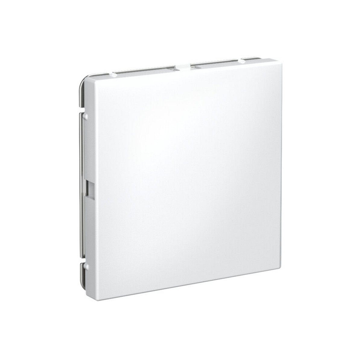 ArtGallery Белый Заглушка Systeme Electric ArtGallery Белый без суппорта для многопостовых рамок GAL000109