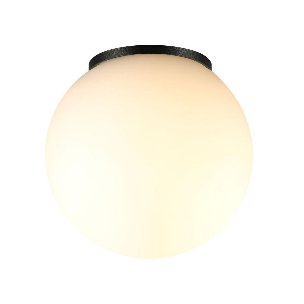 Накладные светодиодные светильники Потолочный светильник ODEON LIGHT 7124/1C VIVA 