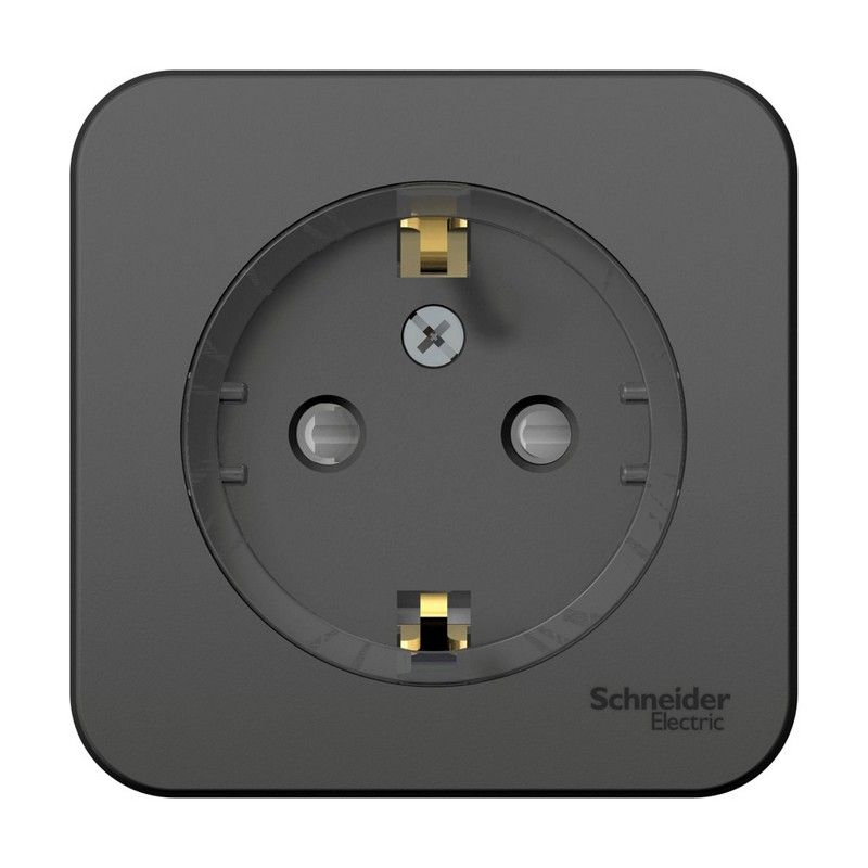 Blanca антрацит розетки и выключатели Розетка SE Blanca с/з Антрацит наружный со шторками (тонкая) изолир. пластина BLNRA111116