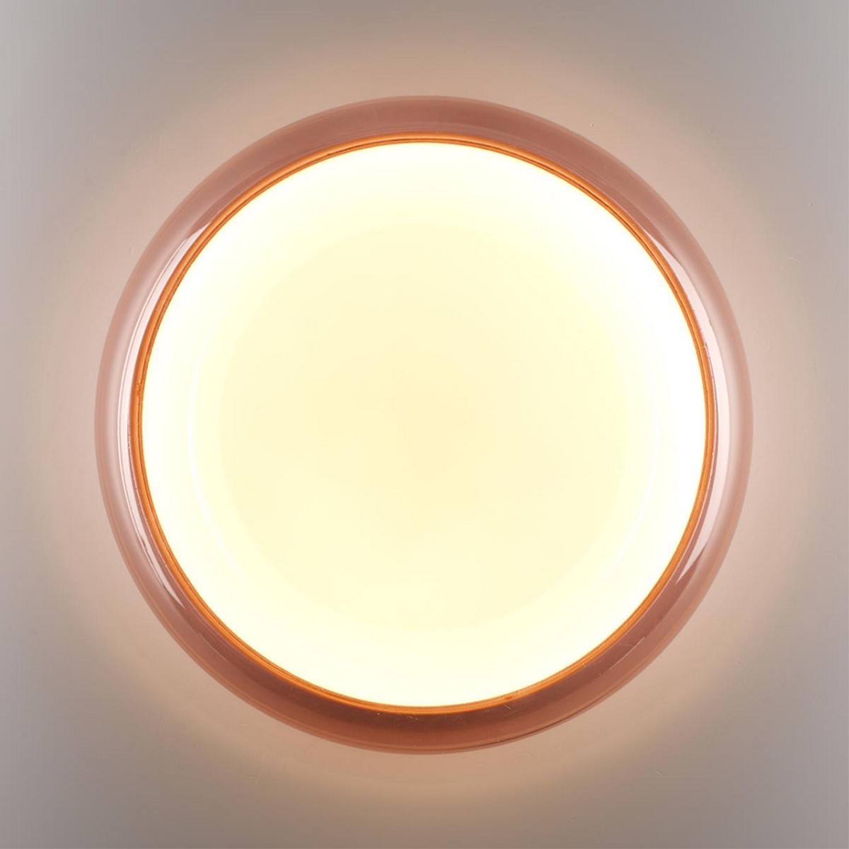 Накладные светодиодные светильники Настенно-потолочный светильник СОНЕКС 7778/DLN PORTMAN 