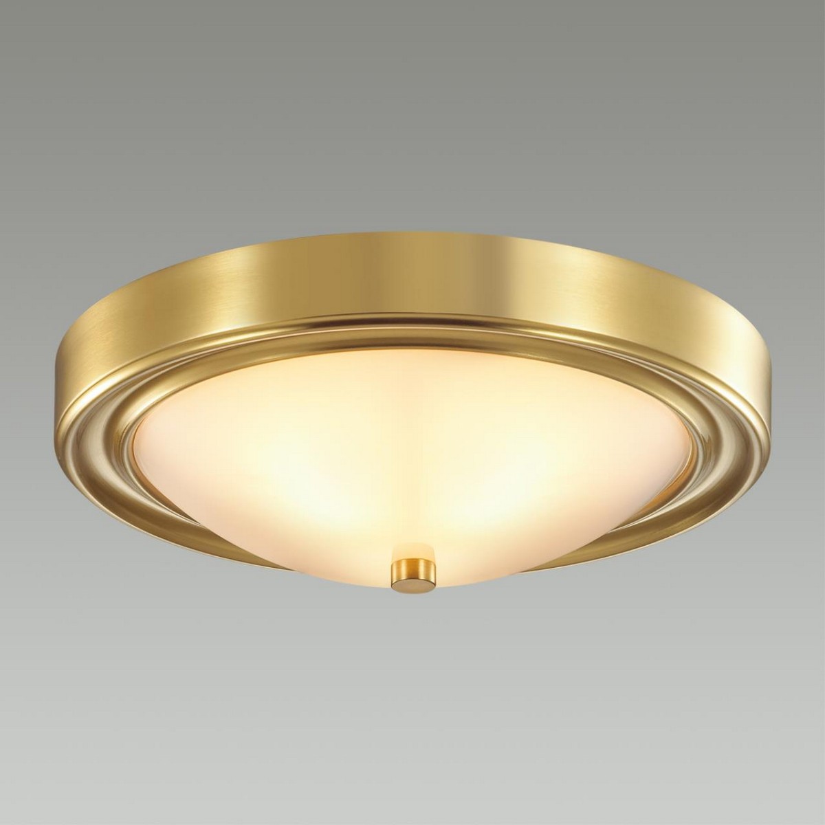 Накладные светодиодные светильники Настенно-потолочный светильник LUMION 5259/2C NINA 