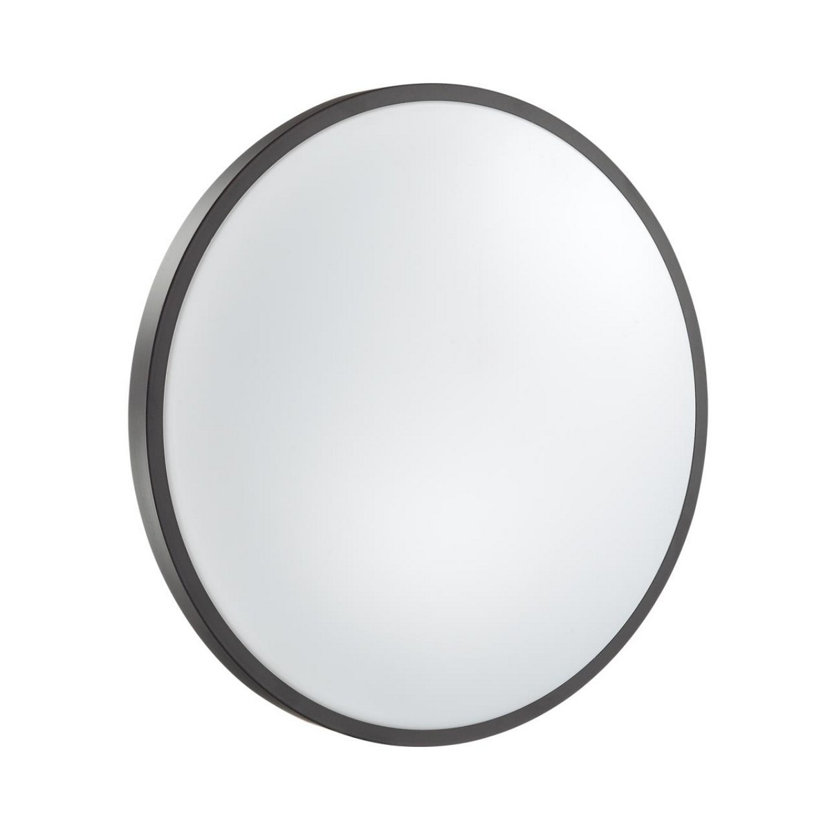 Накладные светодиодные светильники Настенно-потолочный светильник СОНЕКС 3012/DL SMALLI 