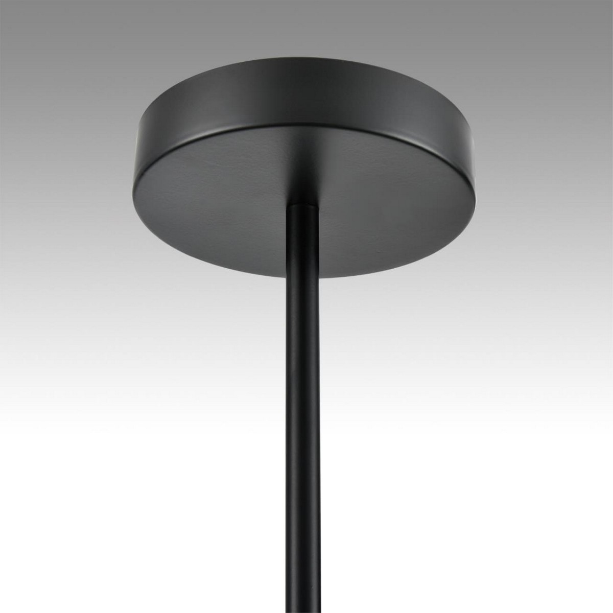 Люстры Люстра LUMION 8117/12 TORINA 