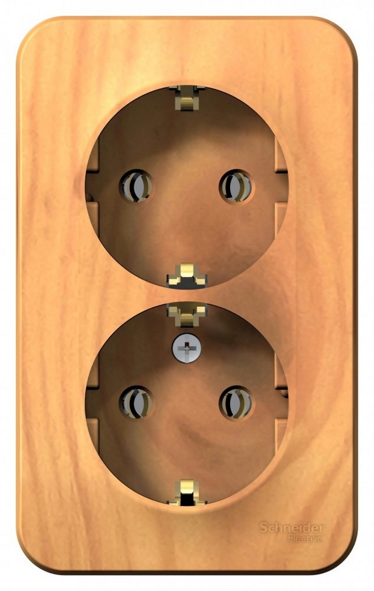 Blanca ясень розетки и выключатели Розетка SE Blanca 2-ая Ясень наружный с/з. без шторок изолир. пластина BLNRA010215