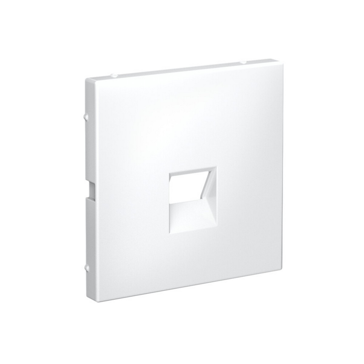 ArtGallery Белый Накладка Systeme Electric ArtGallery Белый для информационных функций типа Keystone GAL000184