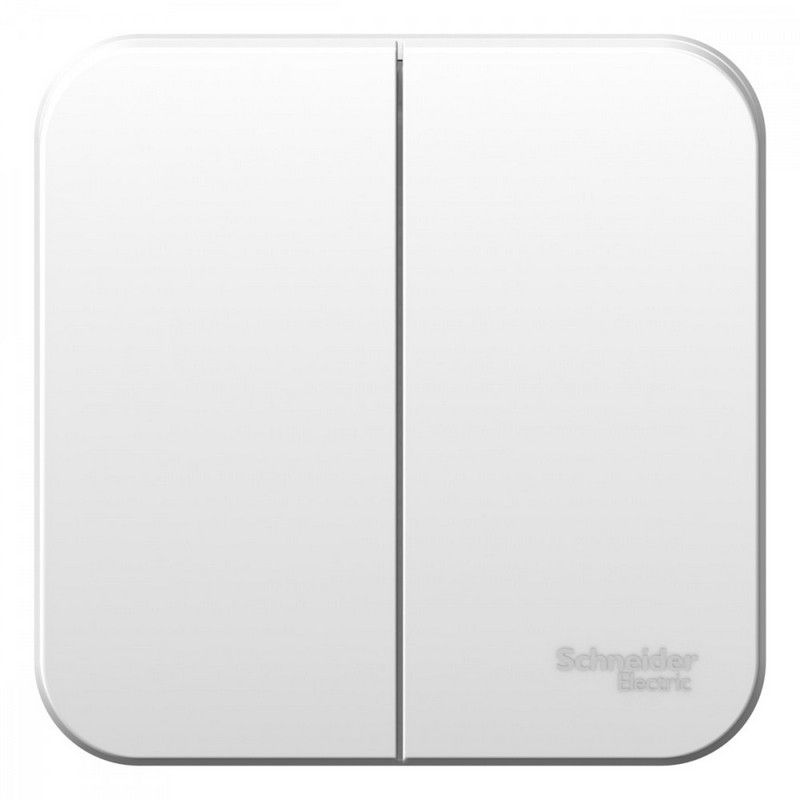 Blanca белые розетки и выключатели Выключатель SE Blanca 2-клавишный Белый наружный 6А изолир. пластина BLNVA065011