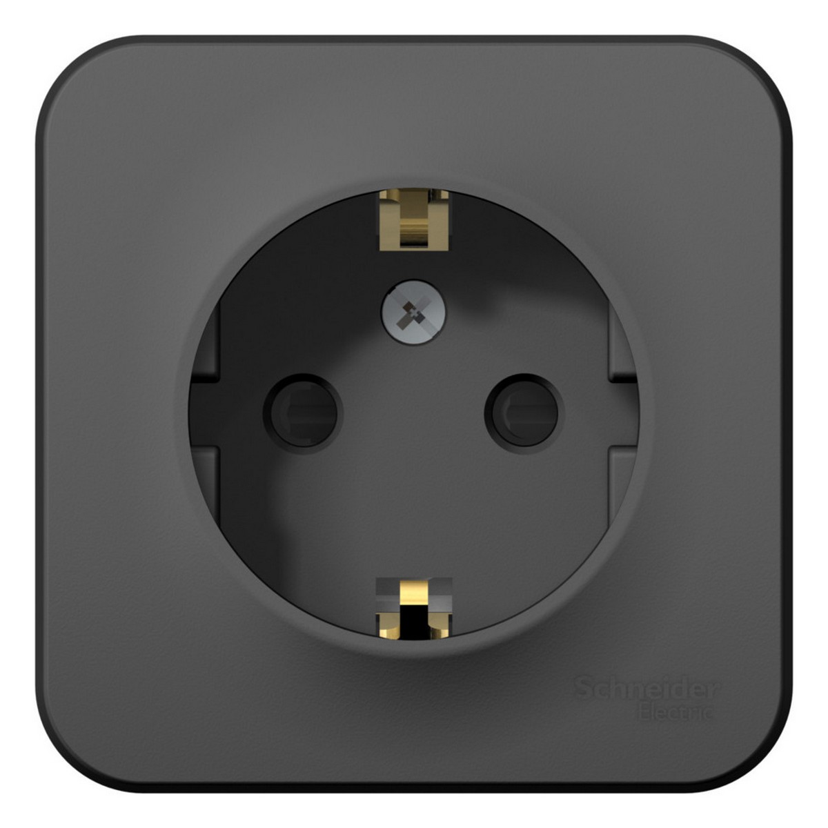 Blanca антрацит розетки и выключатели Розетка SE Blanca с/з Антрацит наружный со шторками BLNRA011106