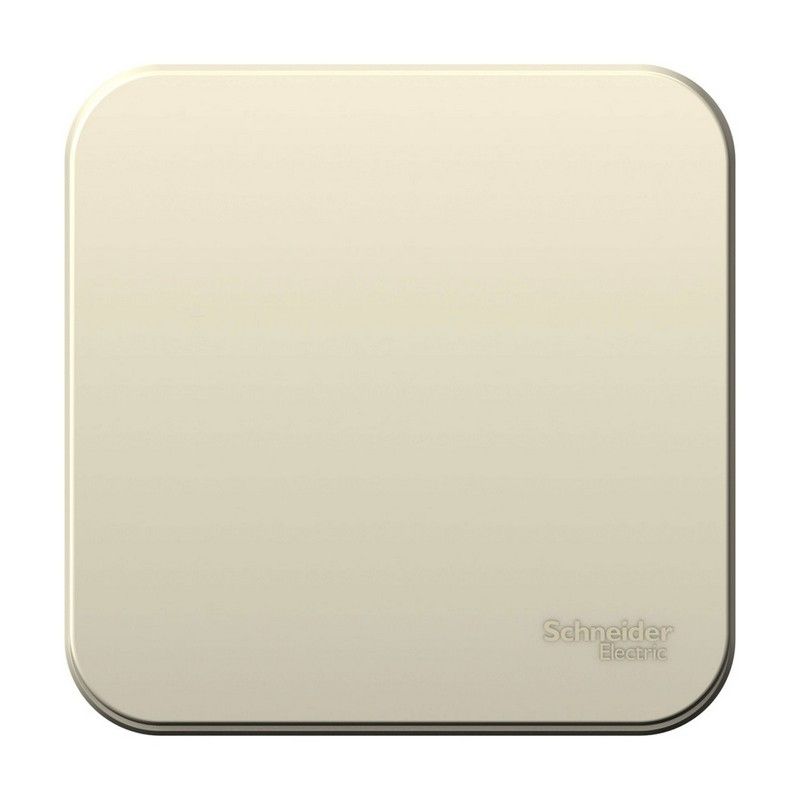 Blanca молочные розетки и выключатели Выключатель SE Blanca 1-клавишный Молочный наружный BLNVA101002