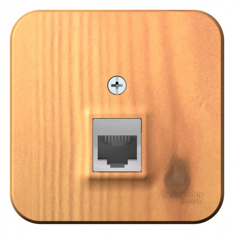 Blanca ясень розетки и выключатели Розетка SE Blanca компьютерная Ясень наружный RJ45 кат.5E изолир. пластина BLNIA045005