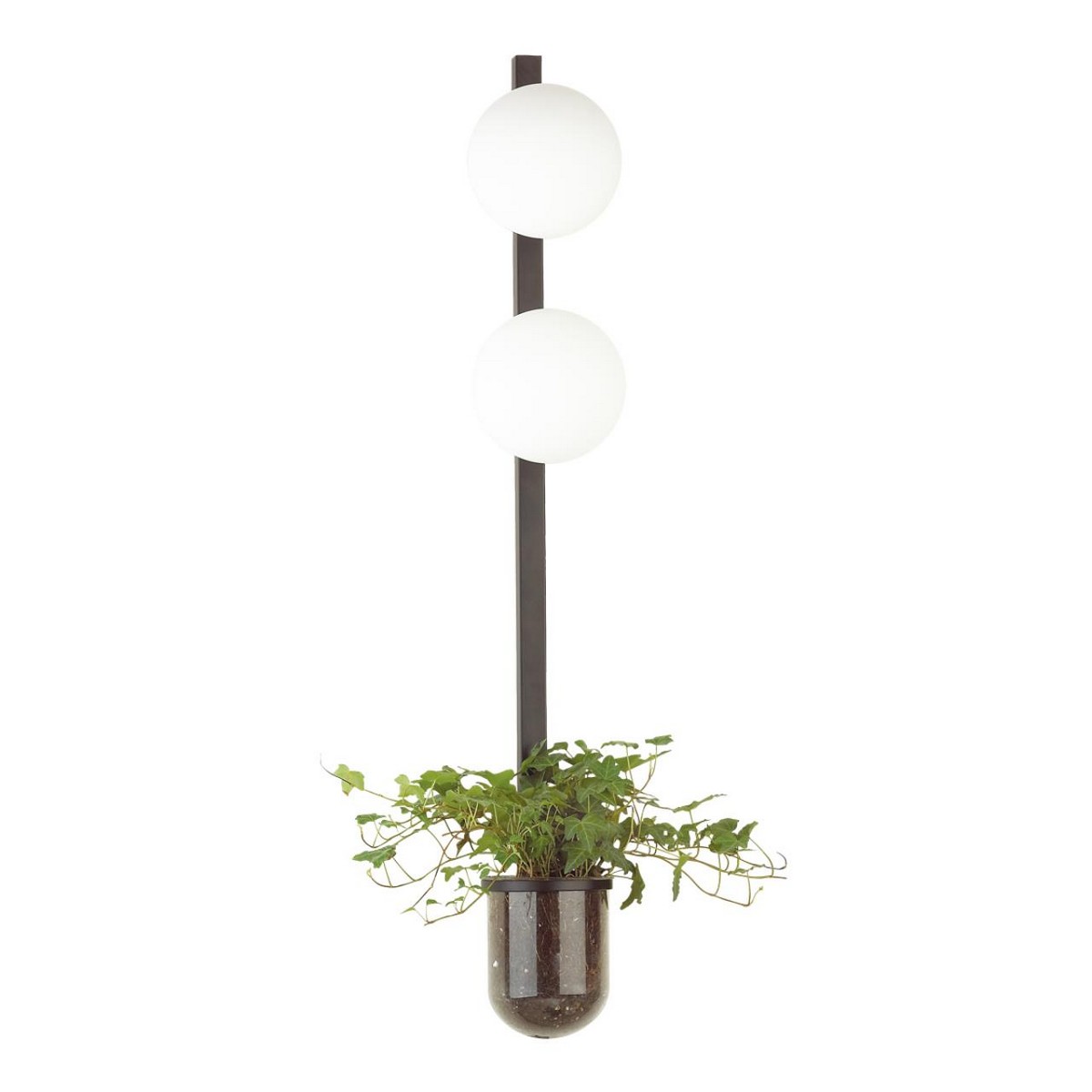 Накладные светодиодные светильники Настенный светильник ODEON LIGHT 4681/2WA FLOWER 