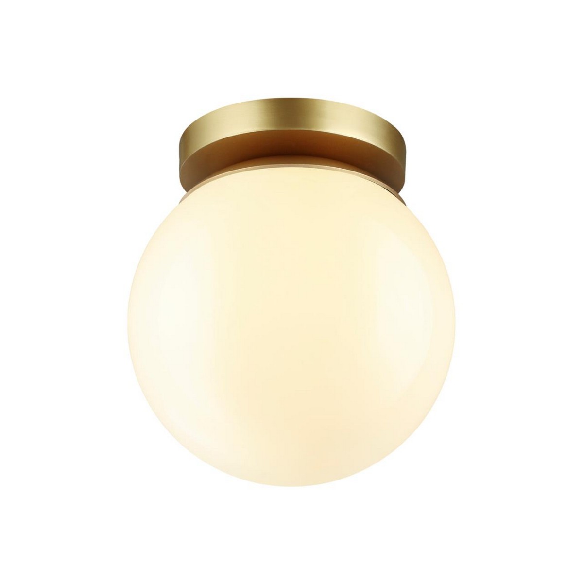 Потолочный накладной светильник ODEON LIGHT 4247/1C BOSCO