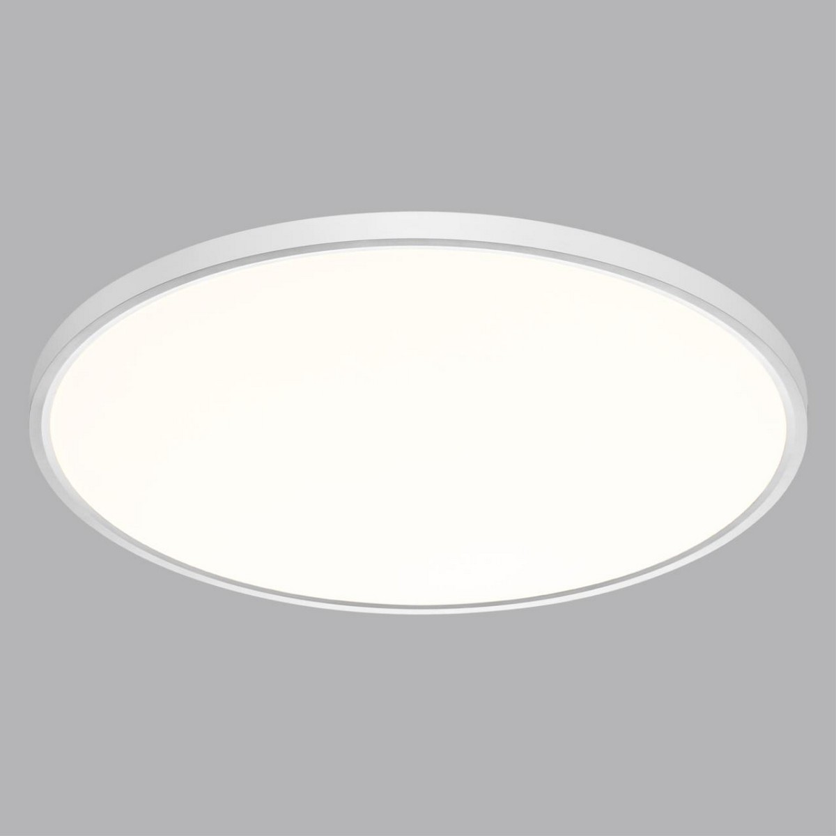 Накладные светодиодные светильники Настенно-потолочный светильник СОНЕКС 7659/48L ALFA WHITE 