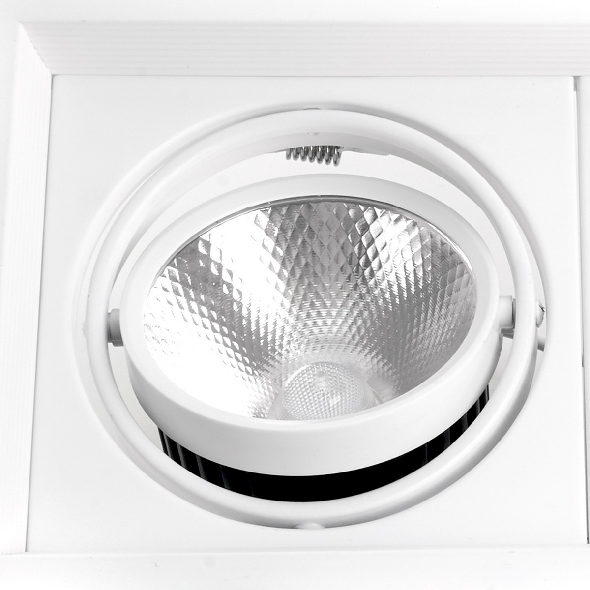 Встраиваемые светодиодные светильники Встраиваемый светодиодный светильник Feron AL202 карданный 2х20W 4000К белый 29777 