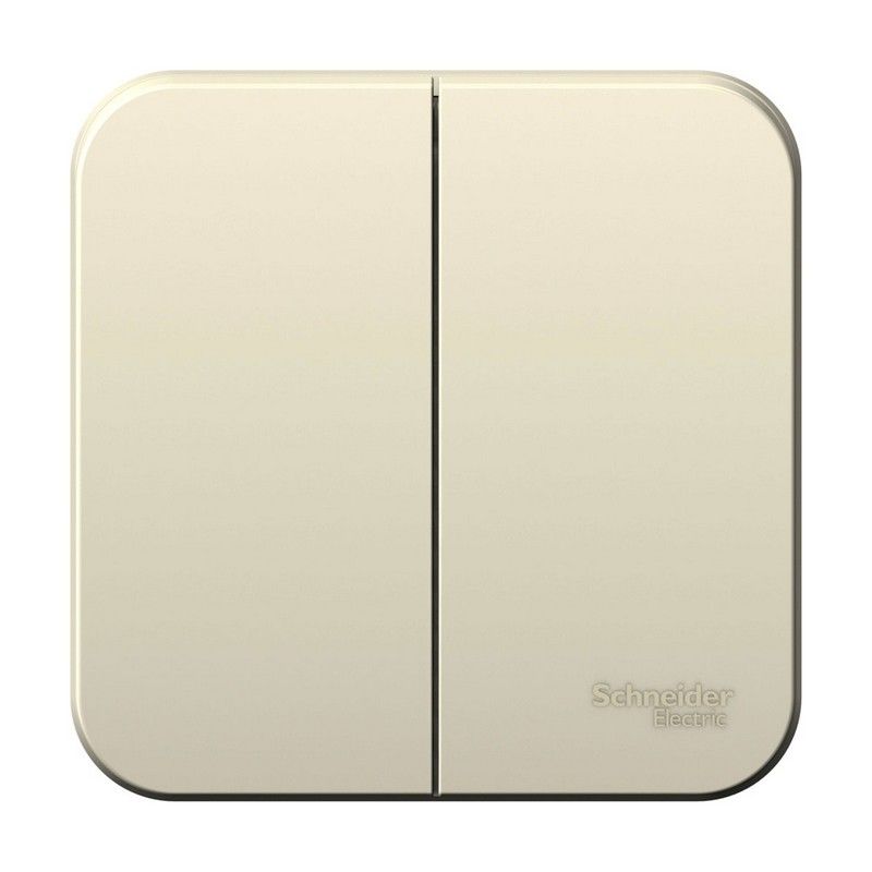 Blanca молочные розетки и выключатели Выключатель SE Blanca 2-клавишный Молочный наружный 6А изолир. пластина BLNVA065012