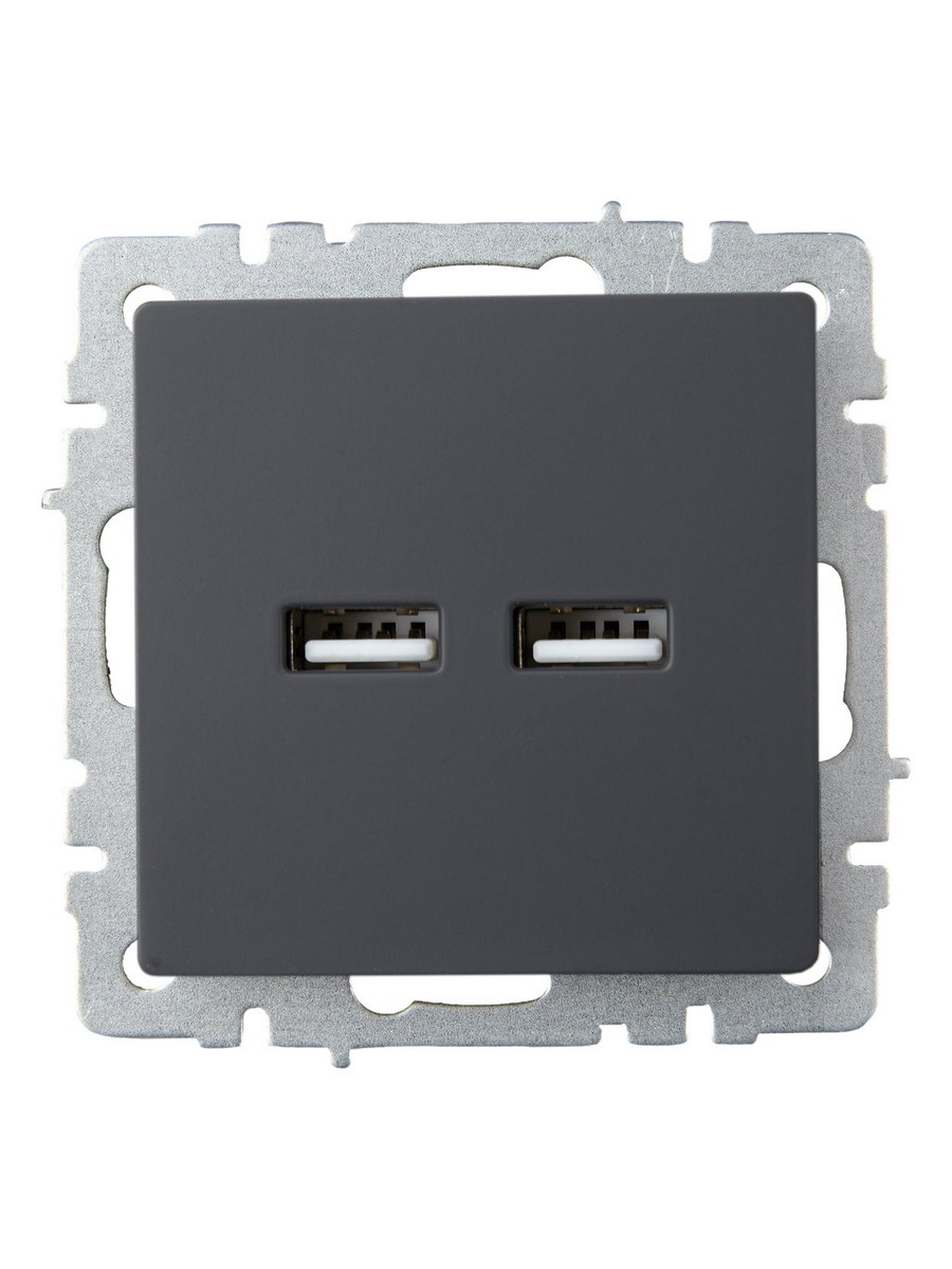 IEK Brite Графит Розетка IEK BRITE USB A+A 3,1А РЮ10-1-БрГ графит BR-U21-D31-K53
