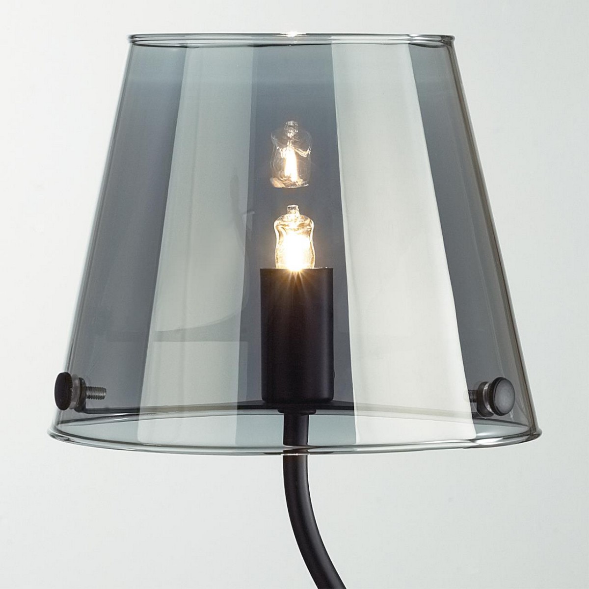 Настольные лампы Настольная лампа LUMION 6570/1T SMOKY 