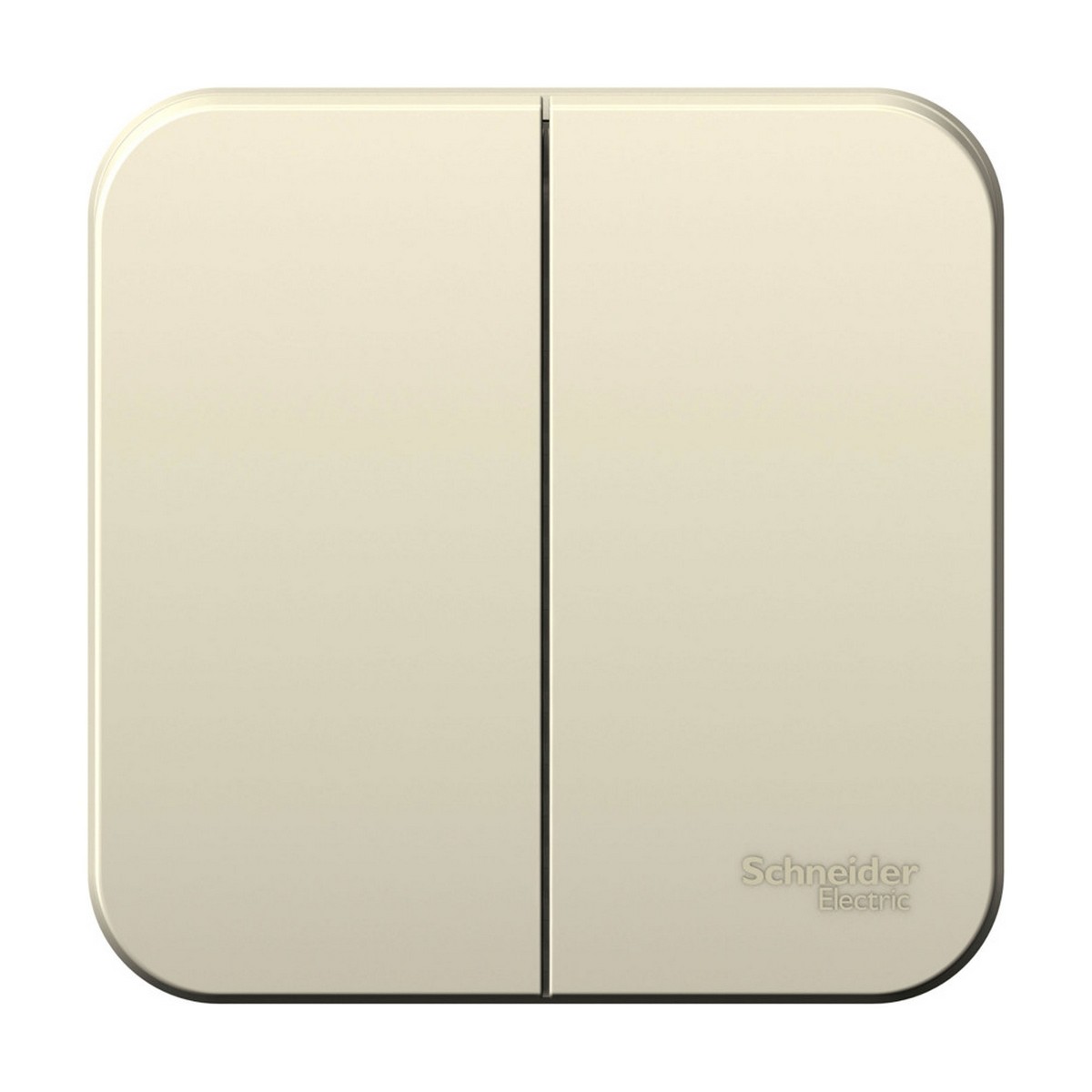 Blanca молочные розетки и выключатели Выключатель SE Blanca 2-клавишный Молочный наружный 6А изолир. пластина BLNVA065012