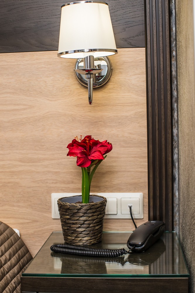 Glossa Белый Розетка Systeme Electric Glossa Белый с заземлением со шторками GSL000145