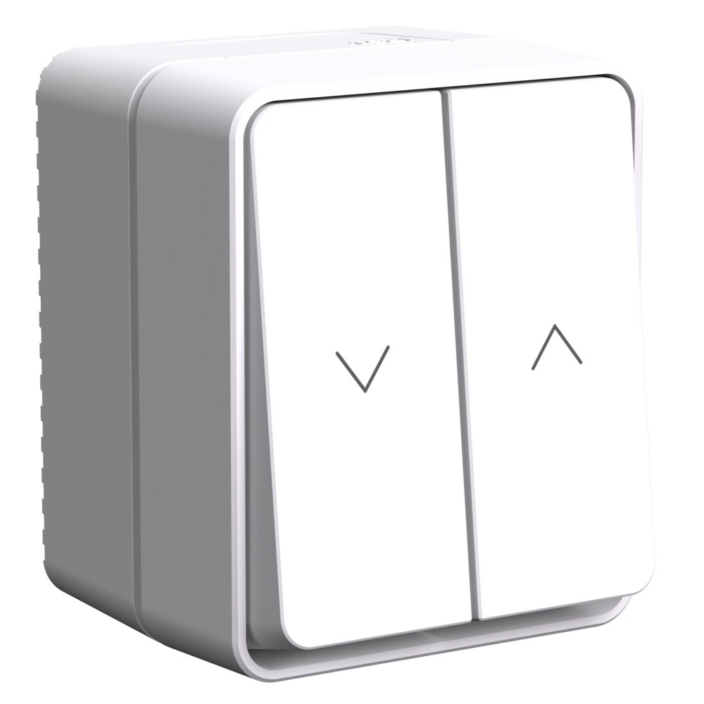 AtlasDesign Белый Выключатель Systeme Electric AtlasDesign Profi54 Белый 2-клавишный для жалюзи, 2хсх.4 ATN540119