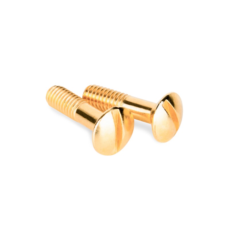 Werkel Ретро Винты Werkel ретро WL18-22-01 для распределительной коробки/TV розетки 2 шт. (золото)