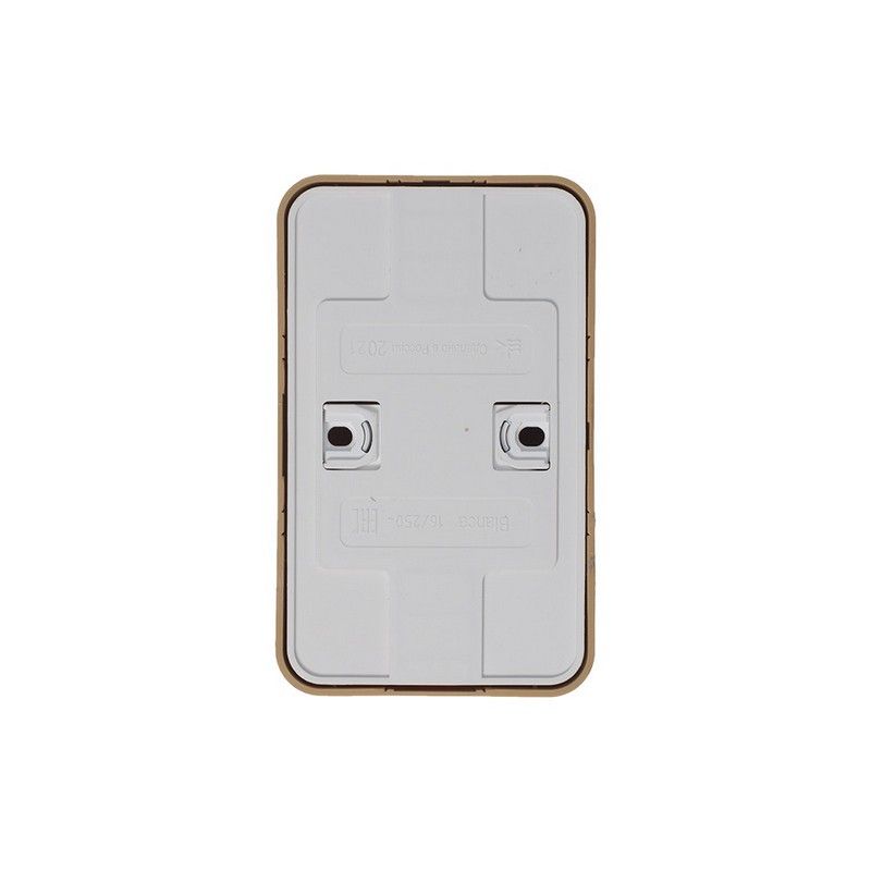 Blanca ясень розетки и выключатели Розетка SE Blanca 2-ая Ясень наружный б/з без шторок изолир. пластина BLNRA000215