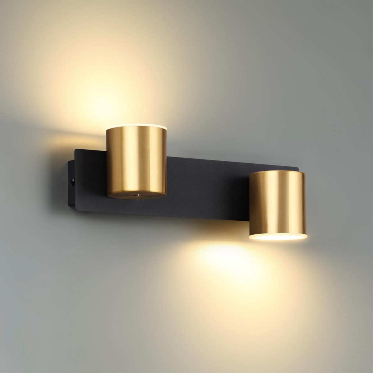 Накладные светодиодные светильники Настенный светильник LUMION 6532/11WL FLINT 