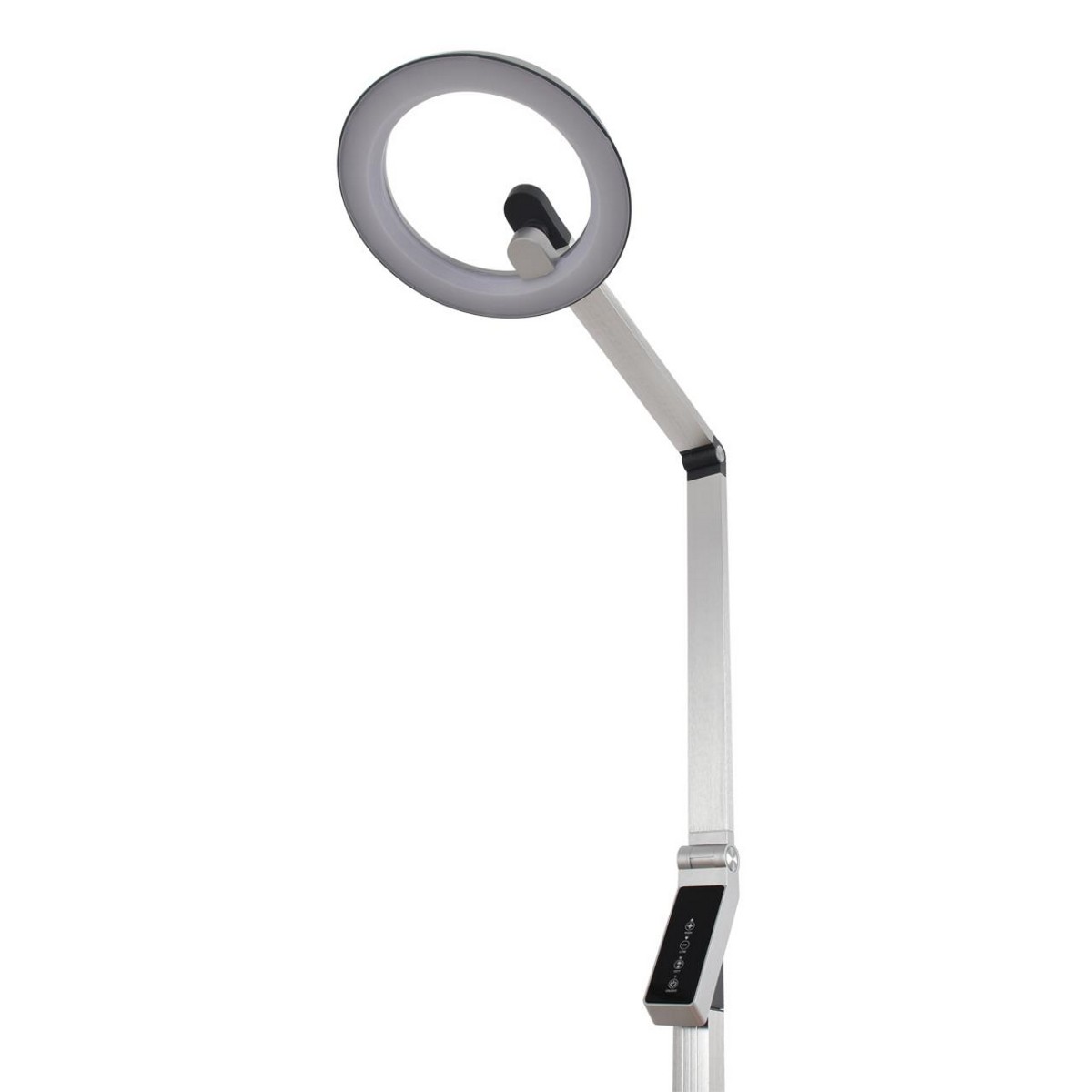 Торшеры Торшер LUMION 8333/15FL GENRI 