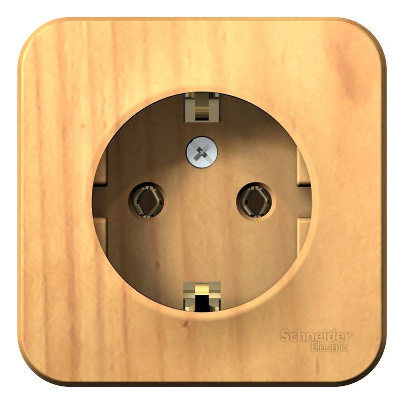 Blanca ясень розетки и выключатели Розетка SE Blanca с/з Ясень наружный без шторок изолир. пластина BLNRA010115