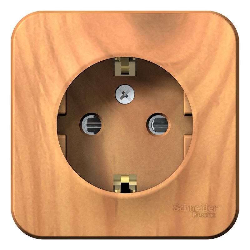 Blanca ясень розетки и выключатели Розетка SE Blanca с/з Ясень наружный со шторками изолир. пластина BLNRA011115