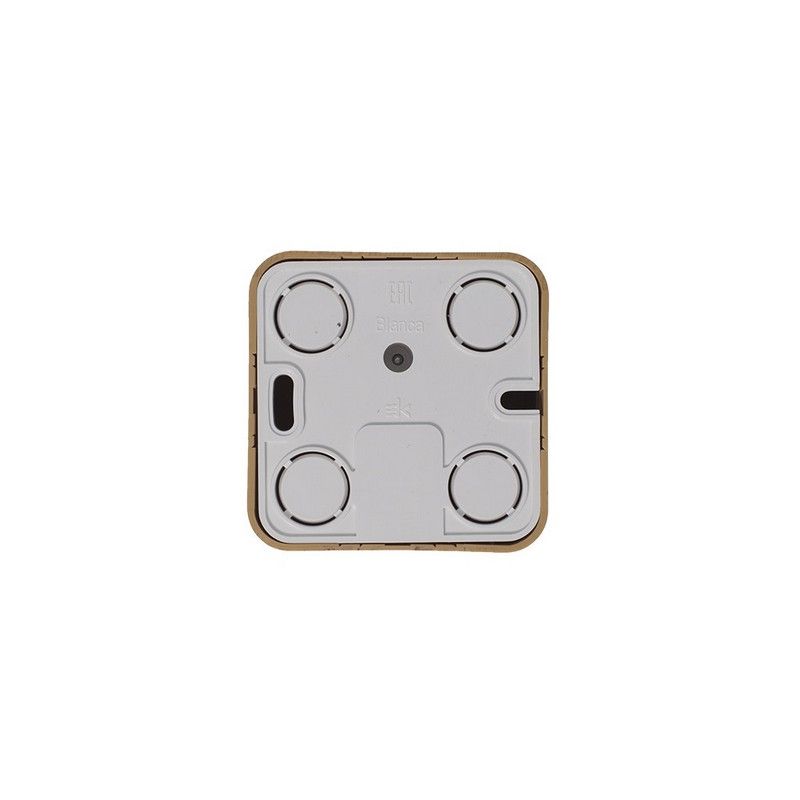 Blanca ясень розетки и выключатели Розетка SE Blanca компьютерная Ясень наружный RJ45 кат.5E изолир. пластина BLNIA045005