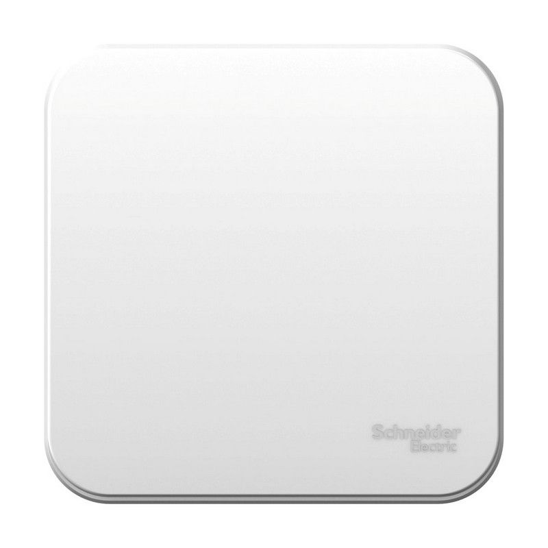 Blanca белые розетки и выключатели Переключатель SE Blanca 1-клавишный Белый наружный изолир. пластина BLNVA106011