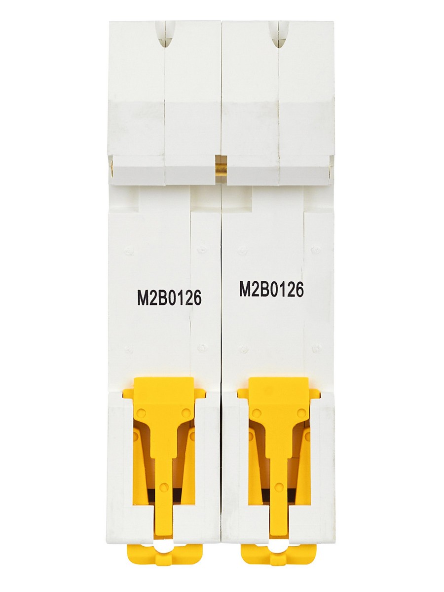 2 полюсные (двухполюсные) Автоматический выключатель IEK ARMAT M06N 2P B 1А AR-M06N-2-B001 