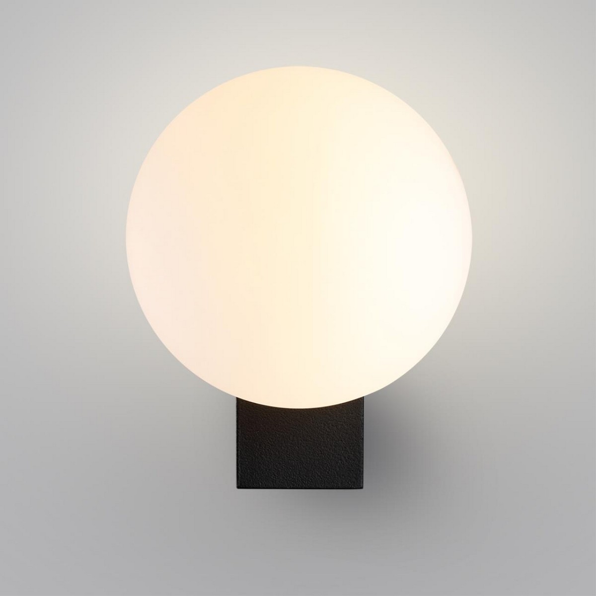 Накладные светодиодные светильники Настенный светильник ODEON LIGHT 7124/1W VIVA 