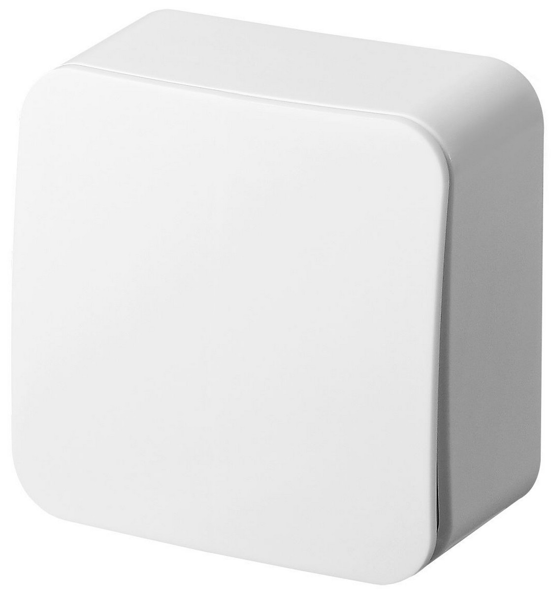 JASMART FS - розетки и выключатели Одноклавишный выключатель JASMART FS накладного монтажа Белый глянцевый FS3011W