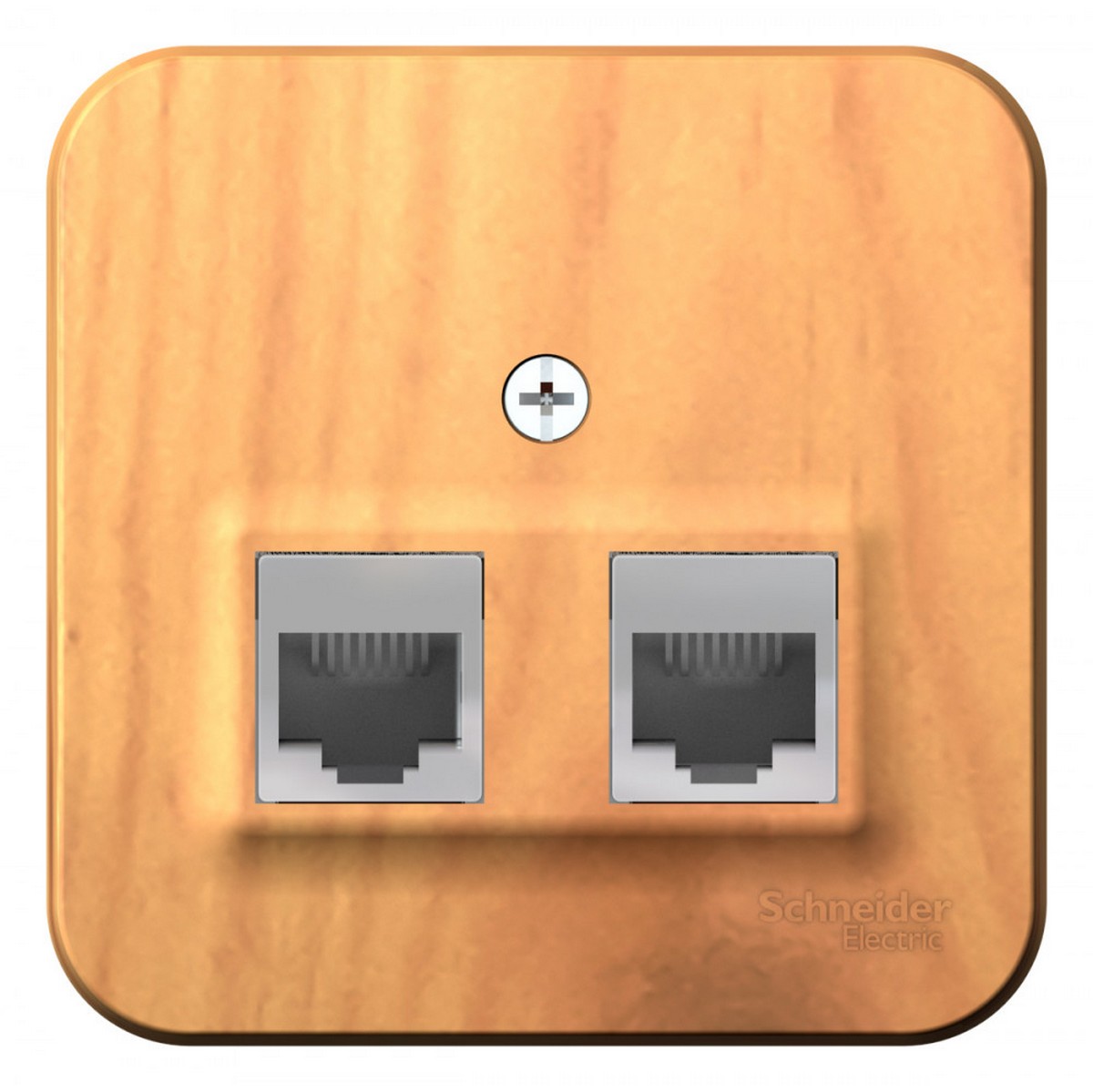 Blanca ясень розетки и выключатели Розетка SE Blanca 2-ая Ясень наружный компьютерная RJ45 кат.5E изолир. пластина BLNIA045455