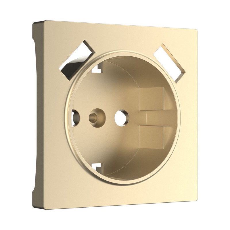 Werkel Шампань механизмы Накладка Werkel для USB розетки (шампань) W1179511