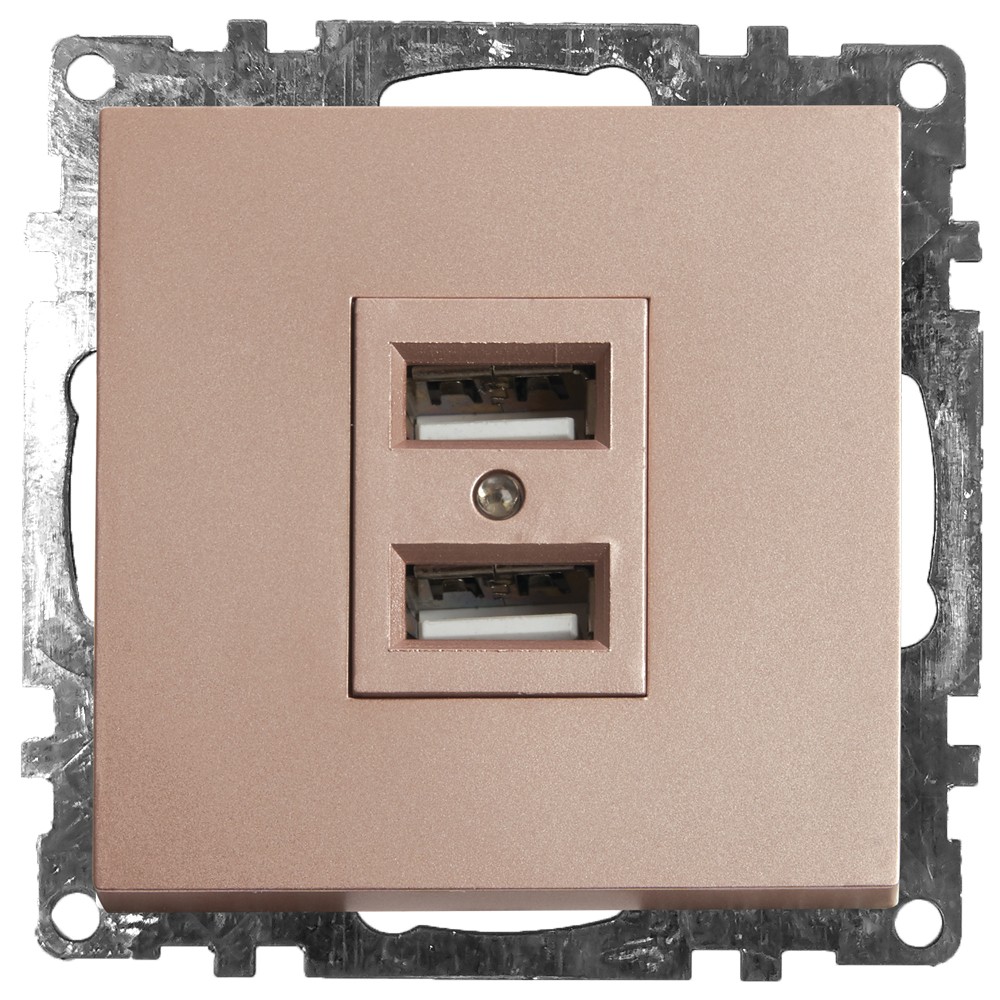 Катрин - Розетки и выключатели Stekker Розетка USB 2-местная STEKKER GLS10-7115-02 250B 21A Катрин шампань 39602