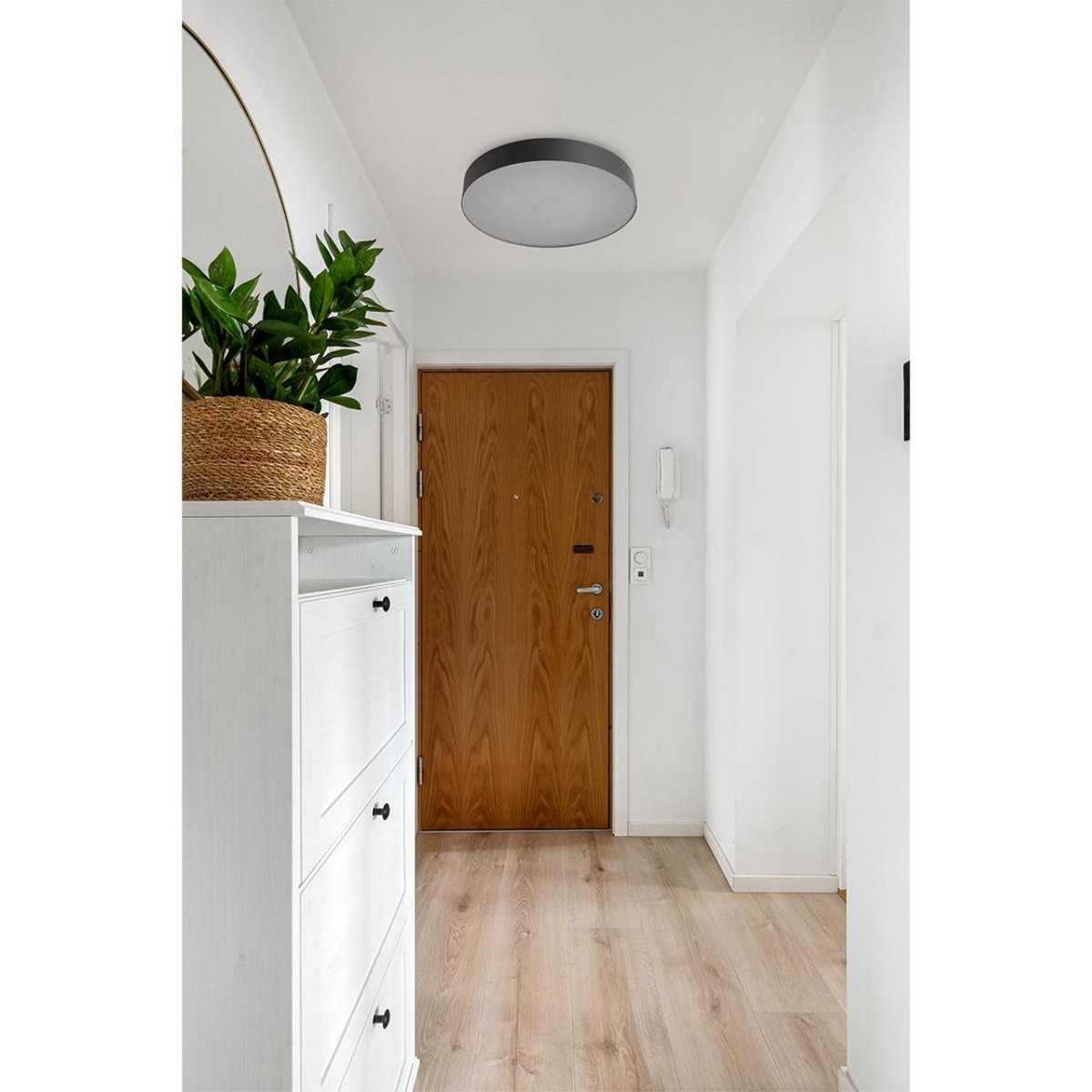 Накладные светодиодные светильники Настенно-потолочный светильник СОНЕКС 7780/DLN OPTIMA 