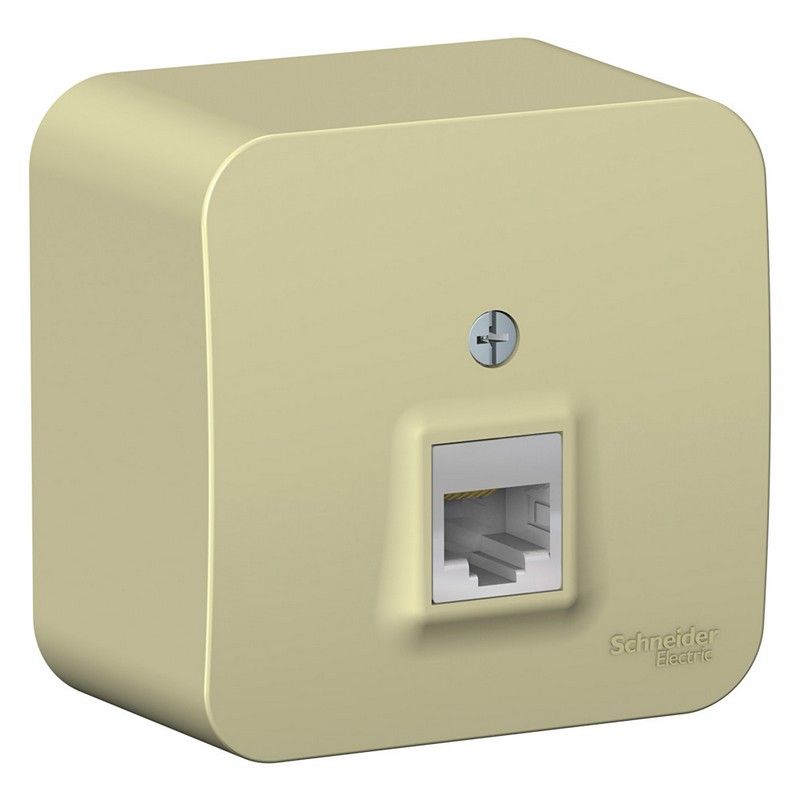 Blanca бежевые розетки и выключатели Розетка SE Blanca компьютерная Бежевый наружный RJ45 кат.5E изолир. пластина BLNIA045007